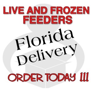 Florida Feeder Rodent Deliveries